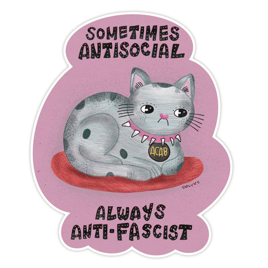antisocial anti-fascist cat sticker