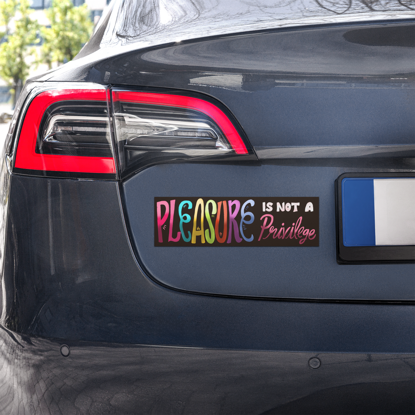 Pleasure Is Not A Privilege Car Magnet