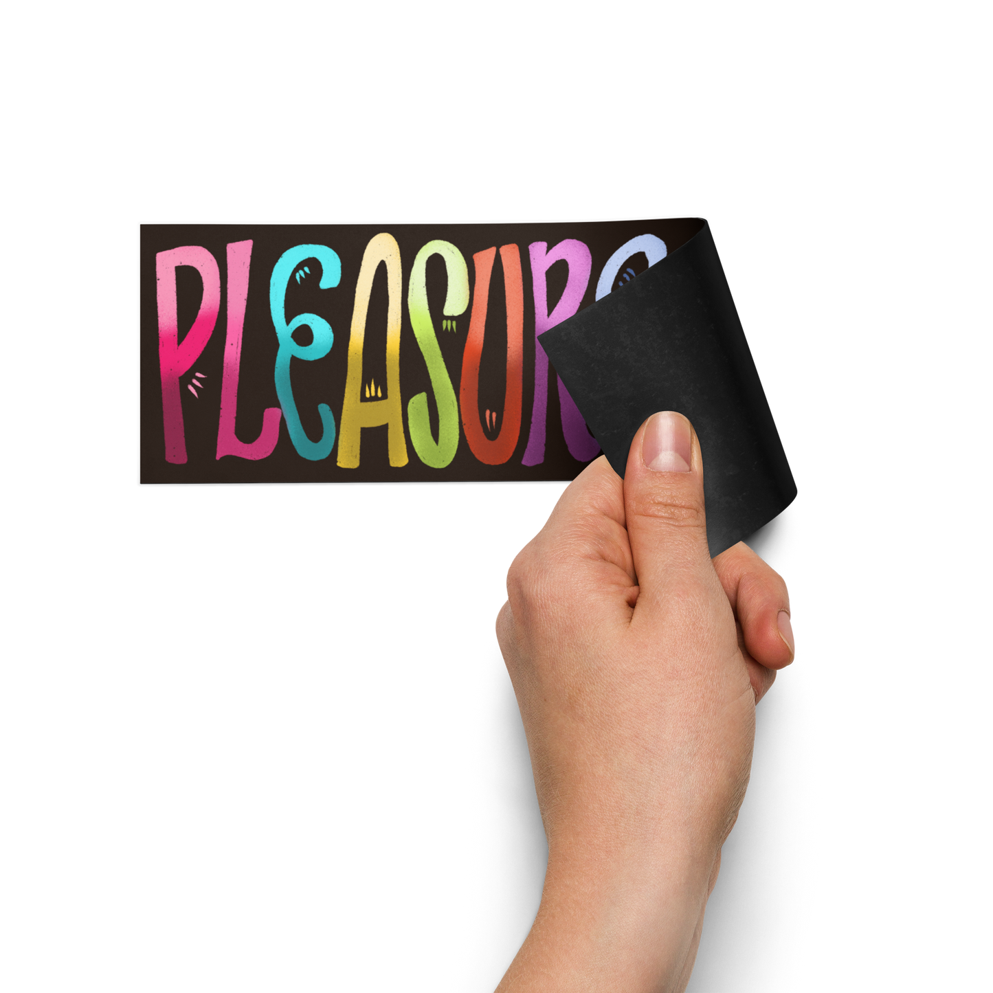 Pleasure Is Not A Privilege Car Magnet