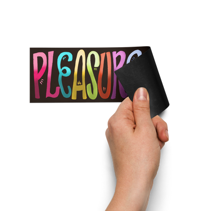 Pleasure Is Not A Privilege Car Magnet